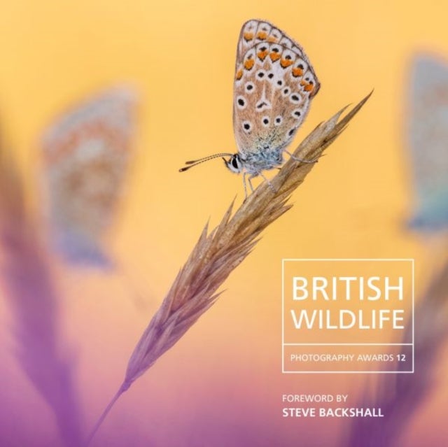 Bilde av British Wildlife Photography Awards 12 Av Will Nicholls