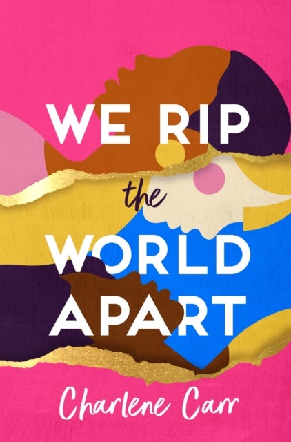 We Rip the World Apart - A sweeping story about motherhood, race and secrets