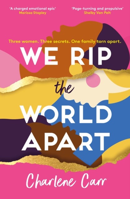 We Rip the World Apart - A sweeping story about motherhood, race and secrets