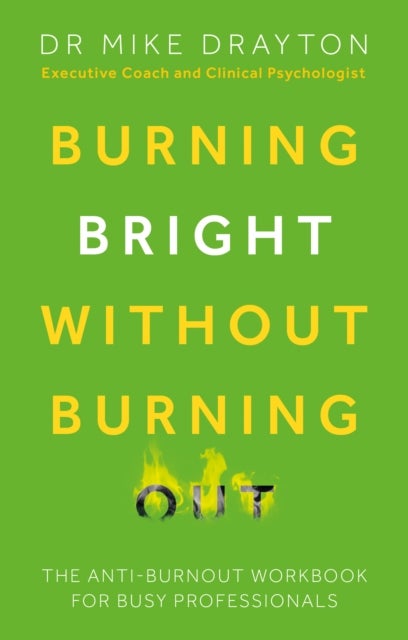 Burning Bright Without Burning Out - The anti-burnout workbook for busy professionals