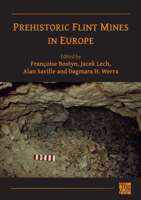 Bilde av Prehistoric Flint Mines In Europe