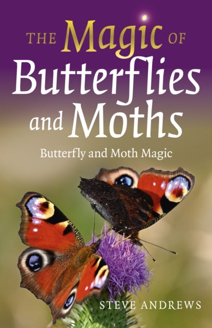 Bilde av Magic Of Butterflies And Moths, The Av Steve Andrews
