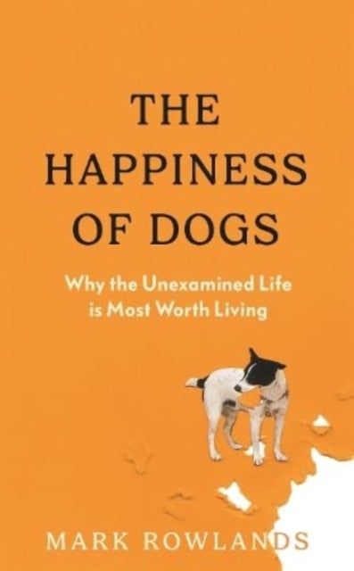 The Happiness of Dogs - Why the Unexamined Life Is Most Worth Living