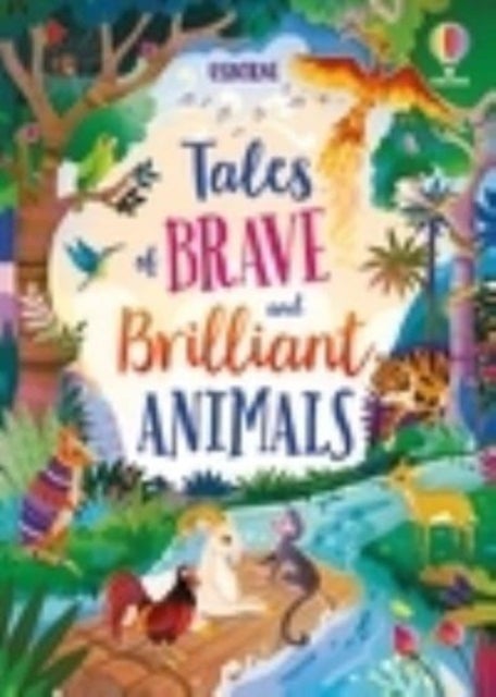 Bilde av Tales Of Brave And Brilliant Animals Av Susanna Davidson, Mairi Mackinnon, Lan Cook