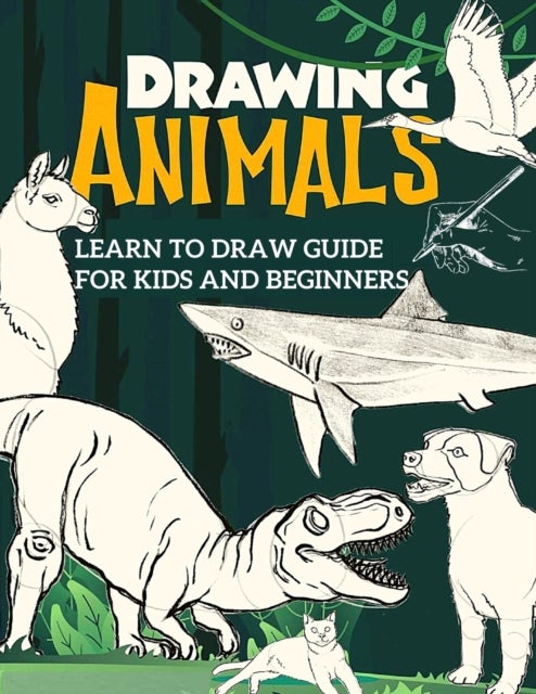 Bilde av Learn To Draw Guide For Kids And Beginners Av Fried