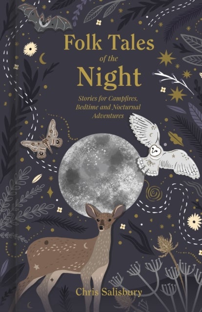 Folk Tales of the Night - Stories for Campfires, Bedtime and Nocturnal Adventures