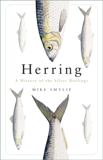 Herring - A History of the Silver Darlings