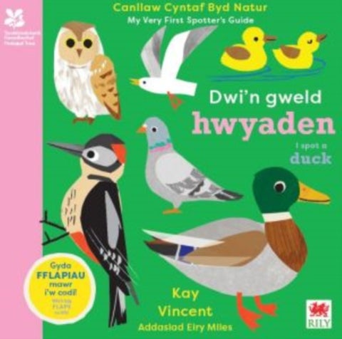 Dwi'n Gweld Hwyaden / I Spot a Duck - Canllaw Cyntaf Byd Natur / My Very First Spotter's Guide