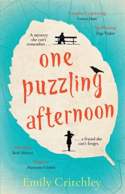 One Puzzling Afternoon - A heartbreaking, captivating mystery for fans of The List of Suspicious Things