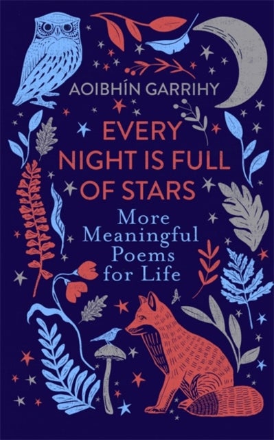Bilde av Every Night Is Full Of Stars Av Aoibhin Garrihy