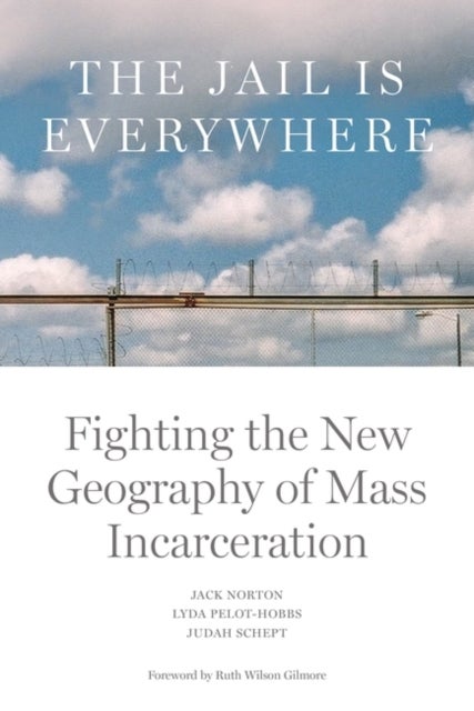 The Jail is Everywhere - Fighting the New Geography of Mass Incarceration