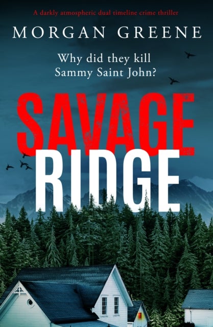 Savage Ridge - A darkly atmospheric dual timeline crime thriller