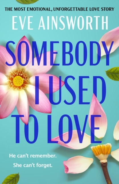 Somebody I Used to Love - The most emotional, unforgettable love story