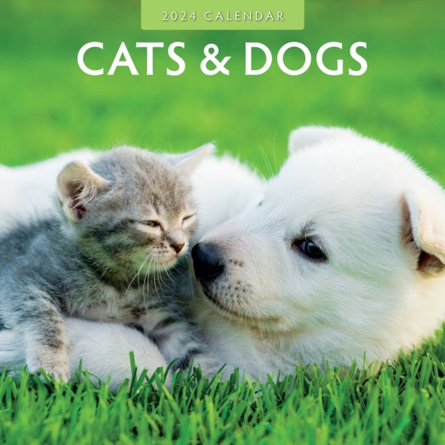 Bilde av Cats &amp; Dogs 2024 Square Wall Calendar Av Red Robin Publishing Ltd.