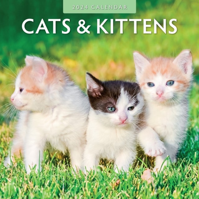 Bilde av Cats &amp; Kittens 2024 Square Wall Calendar Av Red Robin Publishing Ltd.