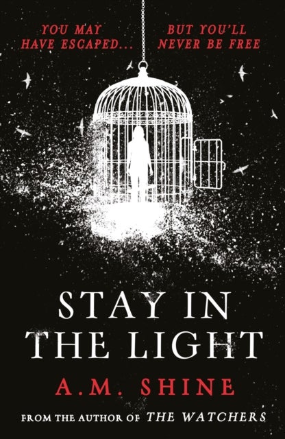 Stay in the Light - the chilling sequel to hit horror novel THE WATCHERS