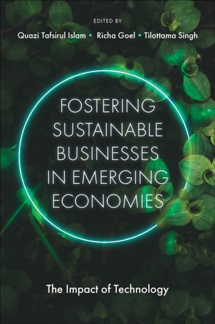 Bilde av Fostering Sustainable Businesses In Emerging Economies