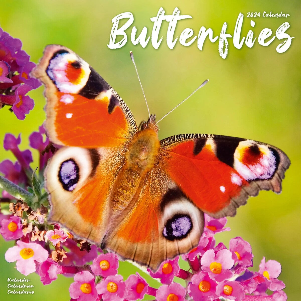 Kalender 2024 Butterflies 30x30cm