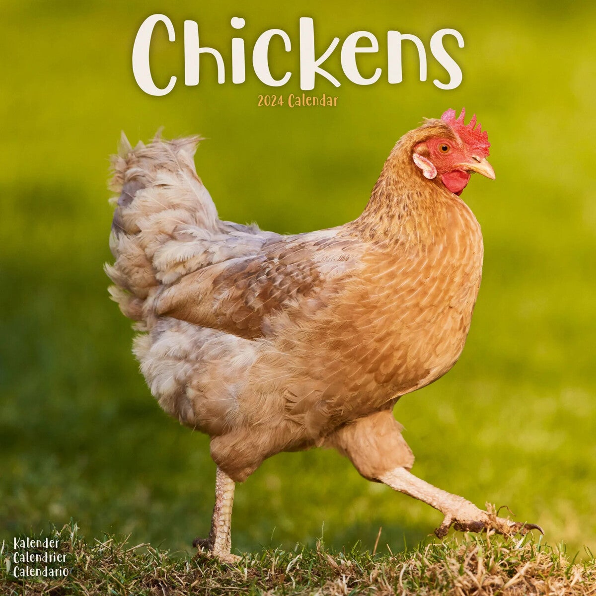 Kalender 2024 Chickens 30x30cm