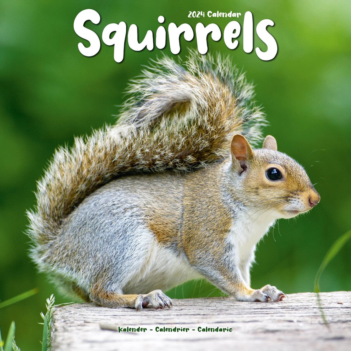 Kalender 2024 Squirrels 30x30cm