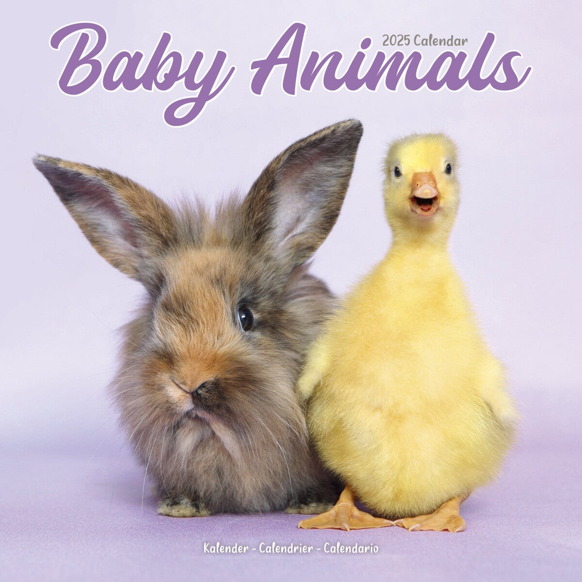 Kalender 2025 Baby Animals 30x30cm