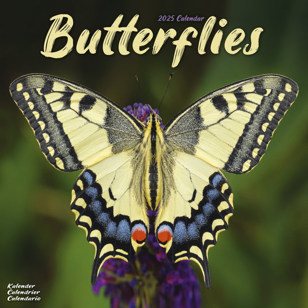 Kalender 2025 Butterflies 30x30cm