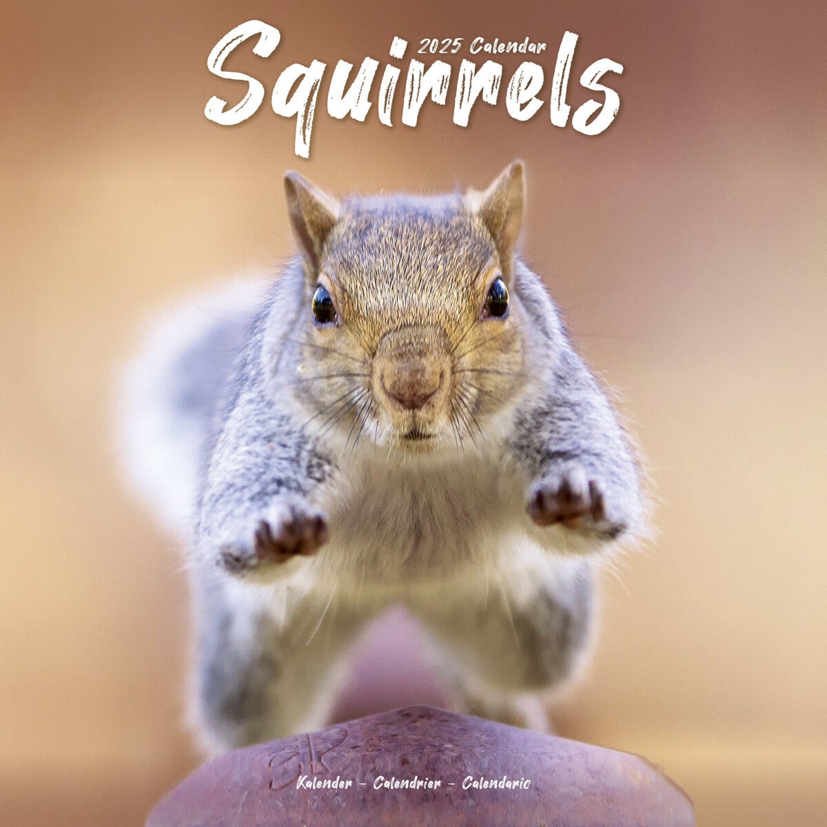 Kalender 2025 Squirrels 30x30cm