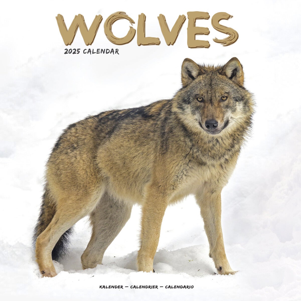 Kalender 2025 Wolves 30x30cm