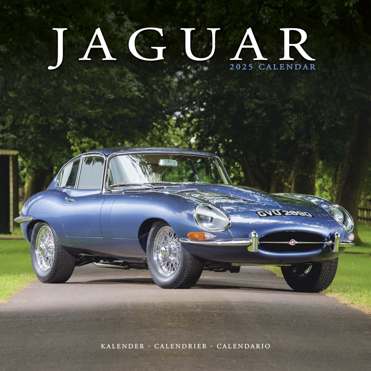Kalender 2025 Jaguar 30x30cm