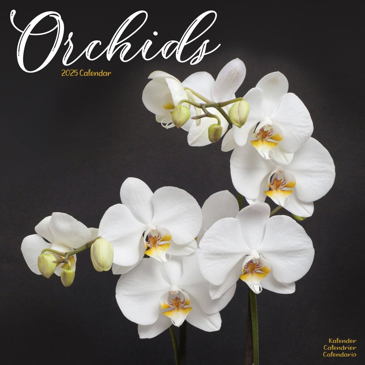 Kalender 2025 Orchids 30x30cm