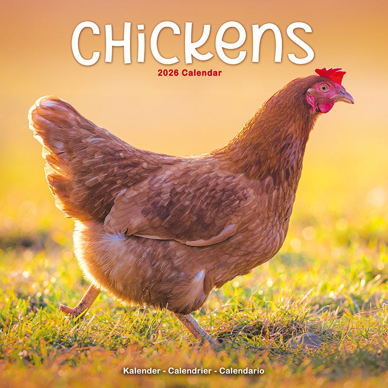 Kalender 2026 30x30 Chickens