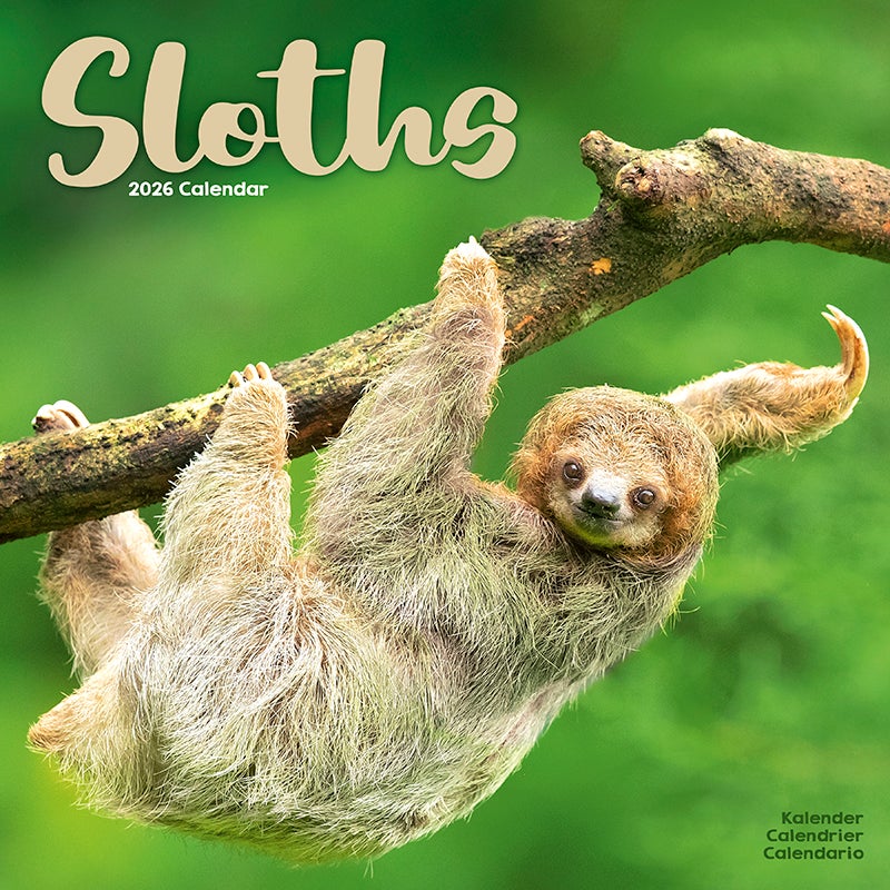 Kalender 2026 30x30 Sloths