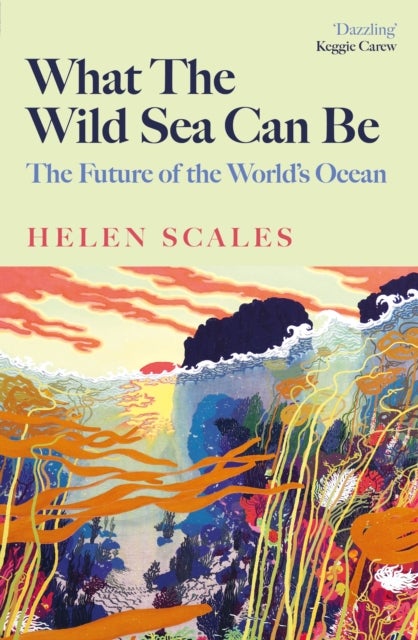 What the Wild Sea Can Be - The Future of the World's Ocean