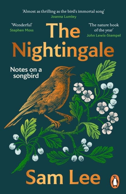 Bilde av The Nightingale Av Sam Lee