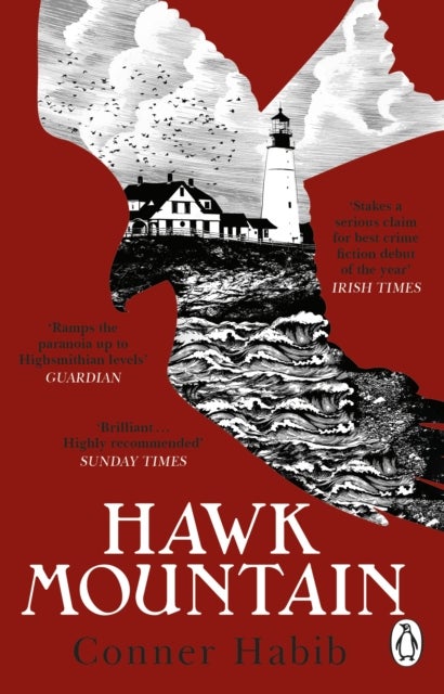 Hawk Mountain - A highly suspenseful and unsettling literary thriller