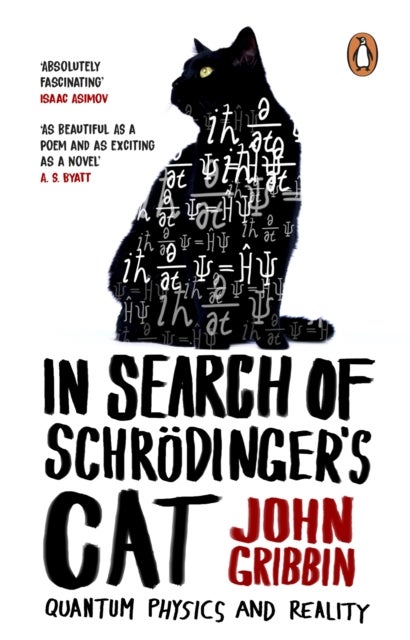 In Search Of Schrodinger's Cat - Updated Edition