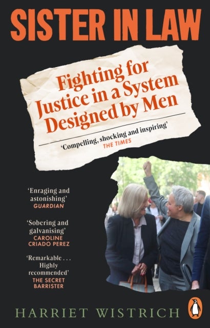 Sister in Law - Fighting for Justice in a System Designed by Men