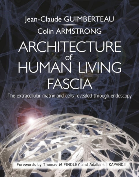 Architecture of Human Living Fascia - The Extracellular Matrix and Cells Revealed Through Endoscopy