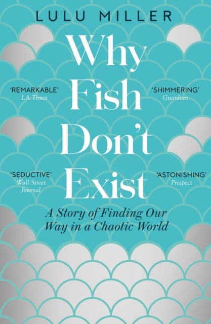 Why Fish Don't Exist - A Story of Finding Our Way in a Chaotic World