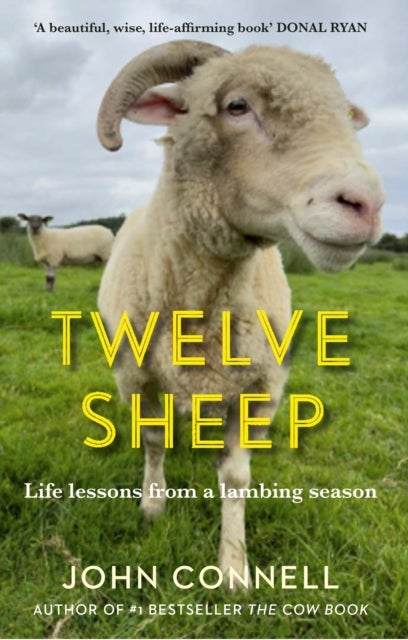 Twelve Sheep - Life lessons from a lambing season