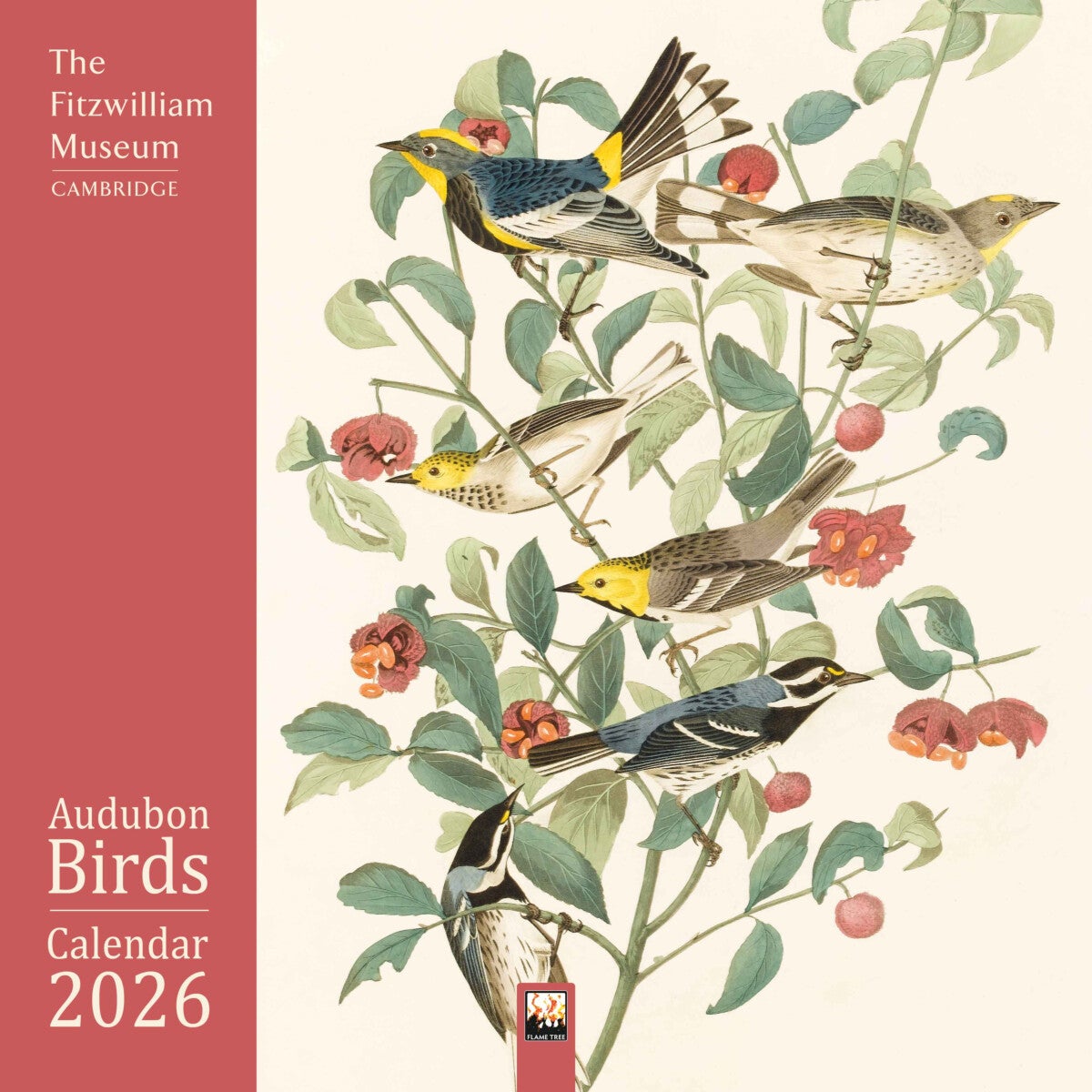 Fitzwilliam Museum: Audubon Birds Wall Calendar 2026 (Art Ca