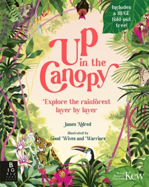 Up in the Canopy - Explore the Rainforest, Layer by Layer