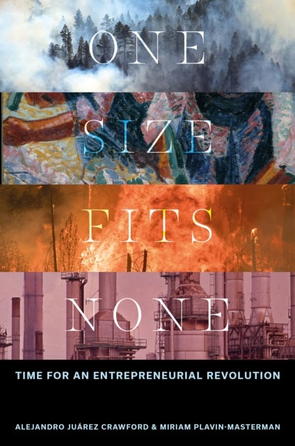 One Size Fits None - Time for an Entrepreneurial Revolution