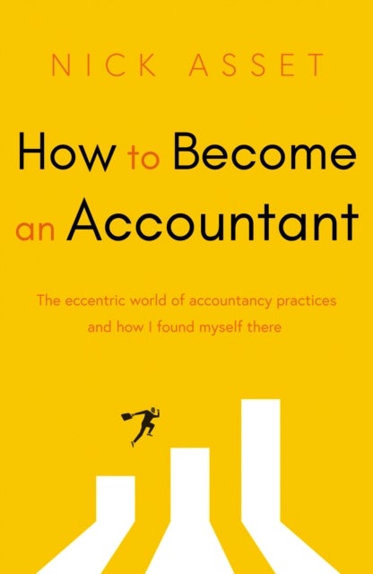 How to Become an Accountant - The eccentric world of accountancy practices and how I found myself there