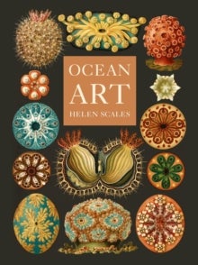 Ocean Art - From the Shore to the Deep