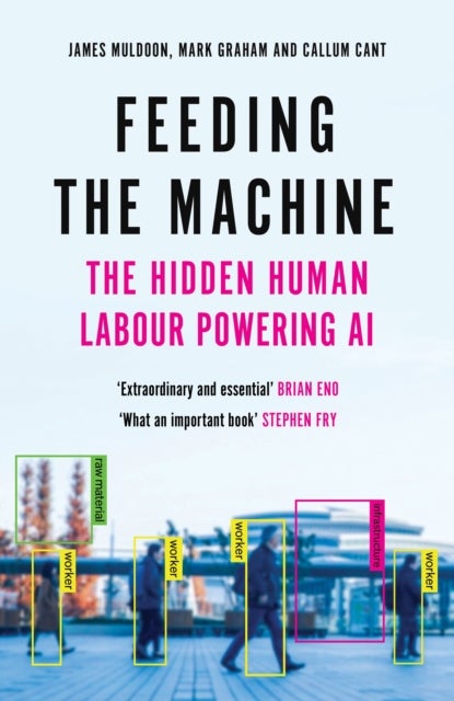 Feeding the Machine - The Hidden Human Labour Powering AI