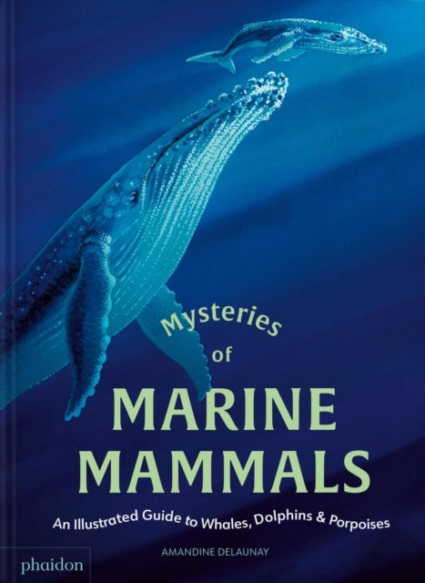 Mysteries of Marine Mammals - An Illustrated Guide to Whales, Dolphins, and Porpoises
