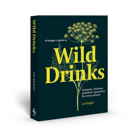 A Forager's Guide to Wild Drinks - Ferments, infusions and thirst-quenchers for every season