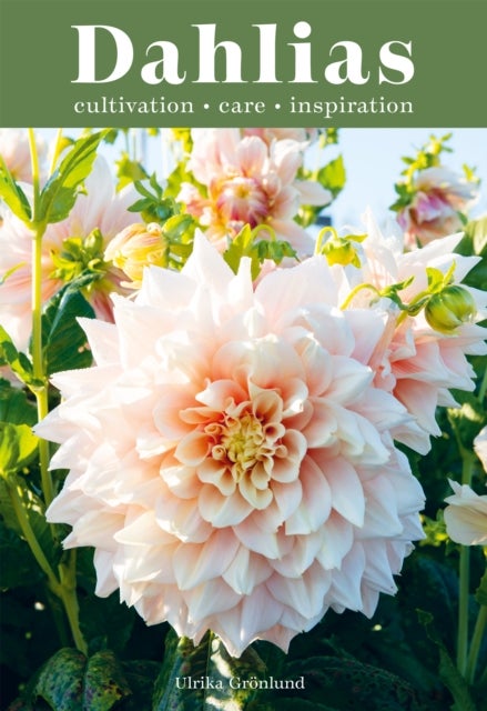 Dahlias - Inspiration, Cultivation and Care for 222 Varieties