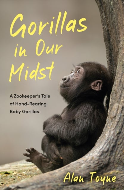 Gorillas in Our Midst - A Zookeeper¿s Tale of Hand-Rearing Baby Gorillas